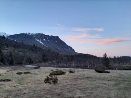 Fin utsikt fra campingen ved Fetjane mot Skogshorn. Foto: Lisa Kvålshaugen Bjærum
