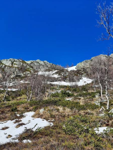 Returen på vei ned fra Skurvefjell vest. Foto: Lisa Kvålshaugen Bjærum