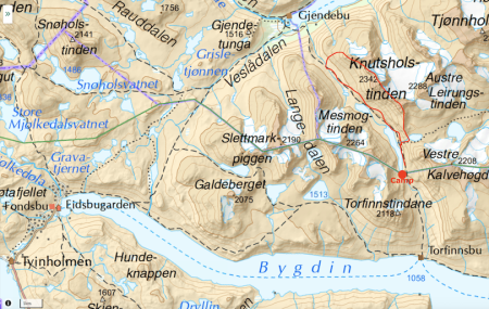 Kartutsnitt av turen.