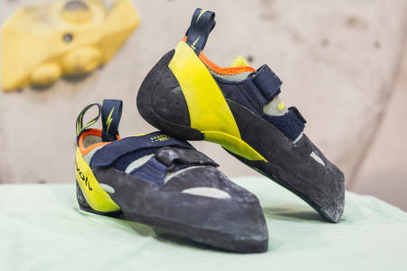 EVOLV Shakra Women’s