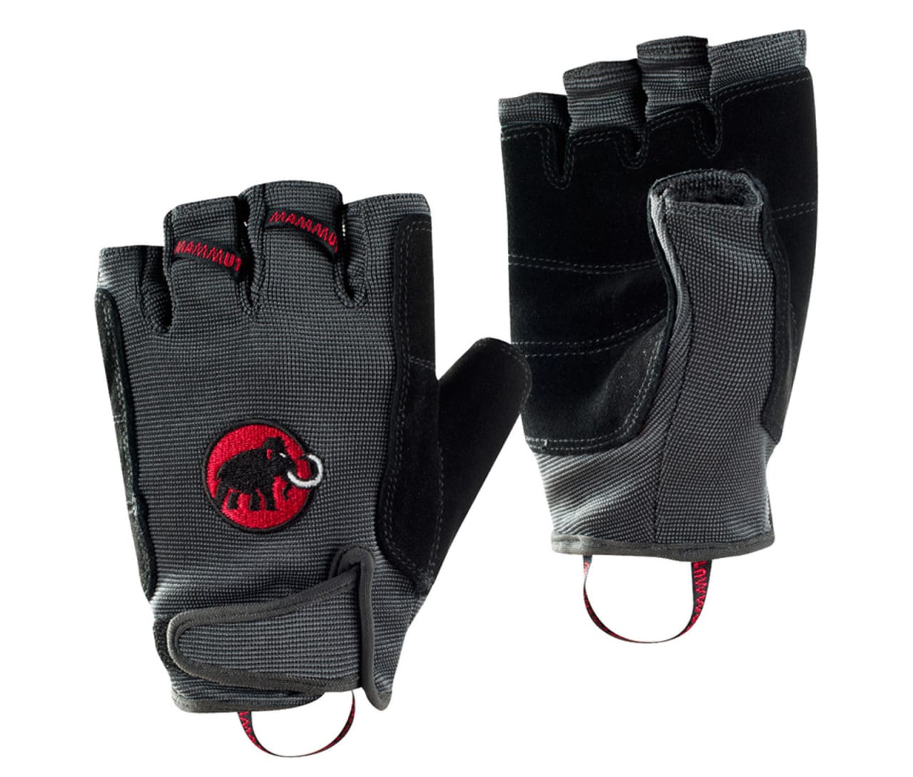 Mammut Trovat